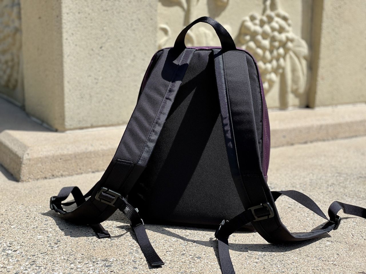 Tom Bihn Zeitgeist Aubergine Hunter Back Straps