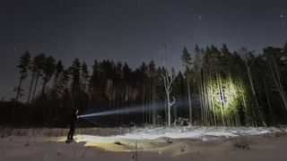 photo shows a silouetted figure standing at the edge of a wood at night and pointing a lit flashlight toward one clump of trees