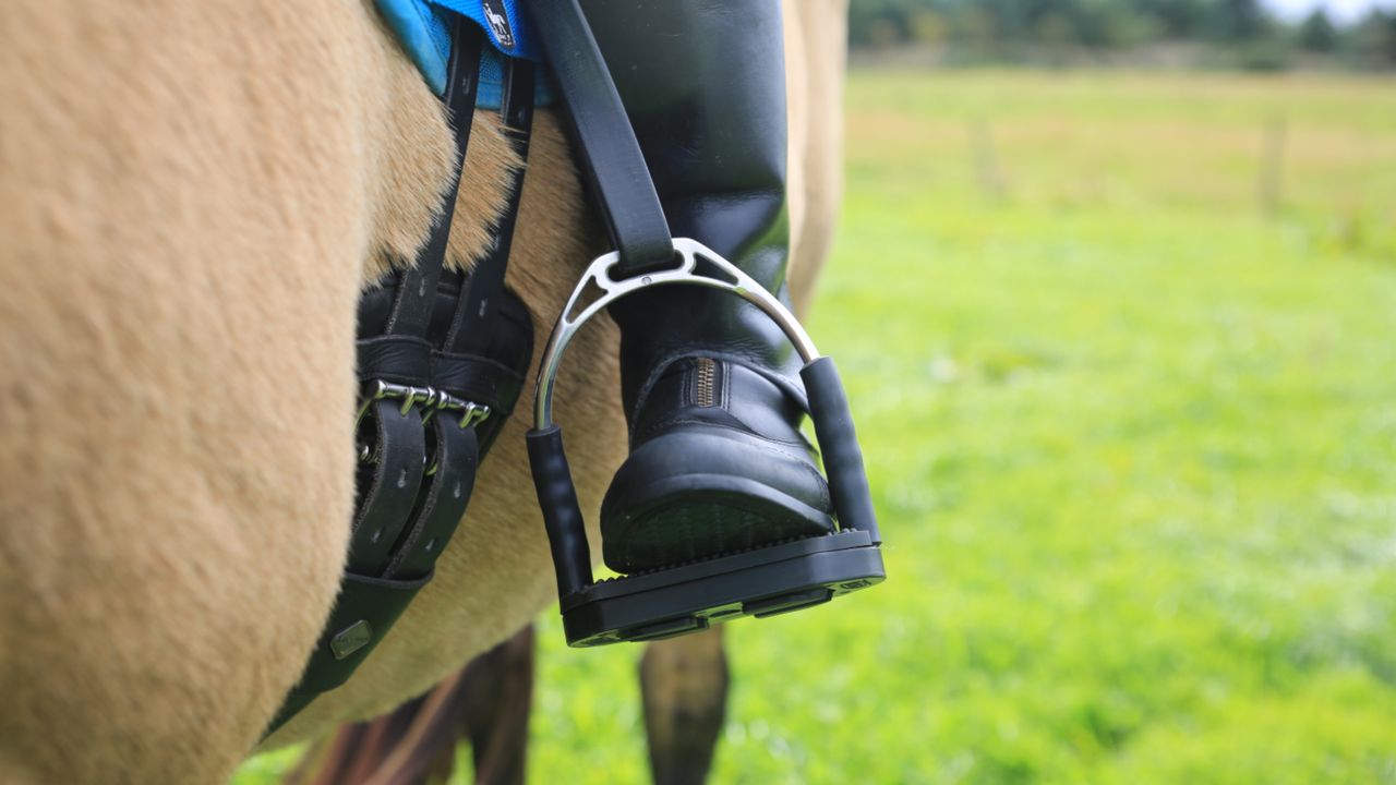 Sprenger Bow Balance Stirrups front on