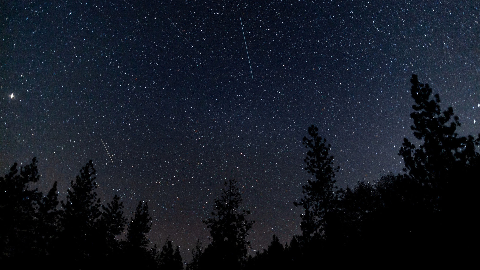 Northern Taurids meteor shower above a row of trees