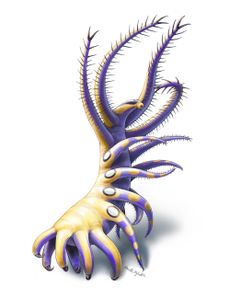 naked ancient worm