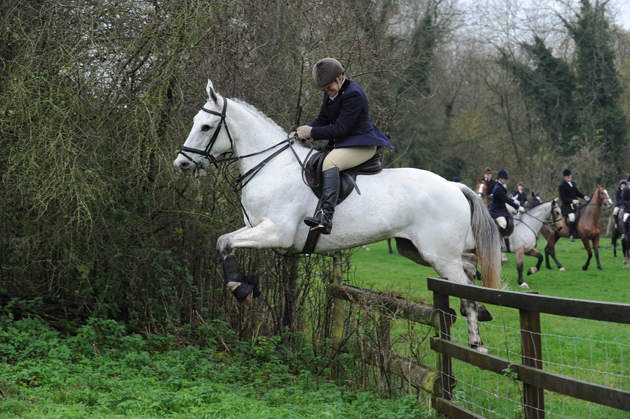 VineandCraven_Hunting14pn_52140