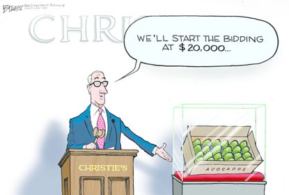Political Cartoon U.S. Christies Avocado bidding Mexican border