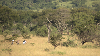 Mountain biking with Singita in the Serengeti To help anti-poaching