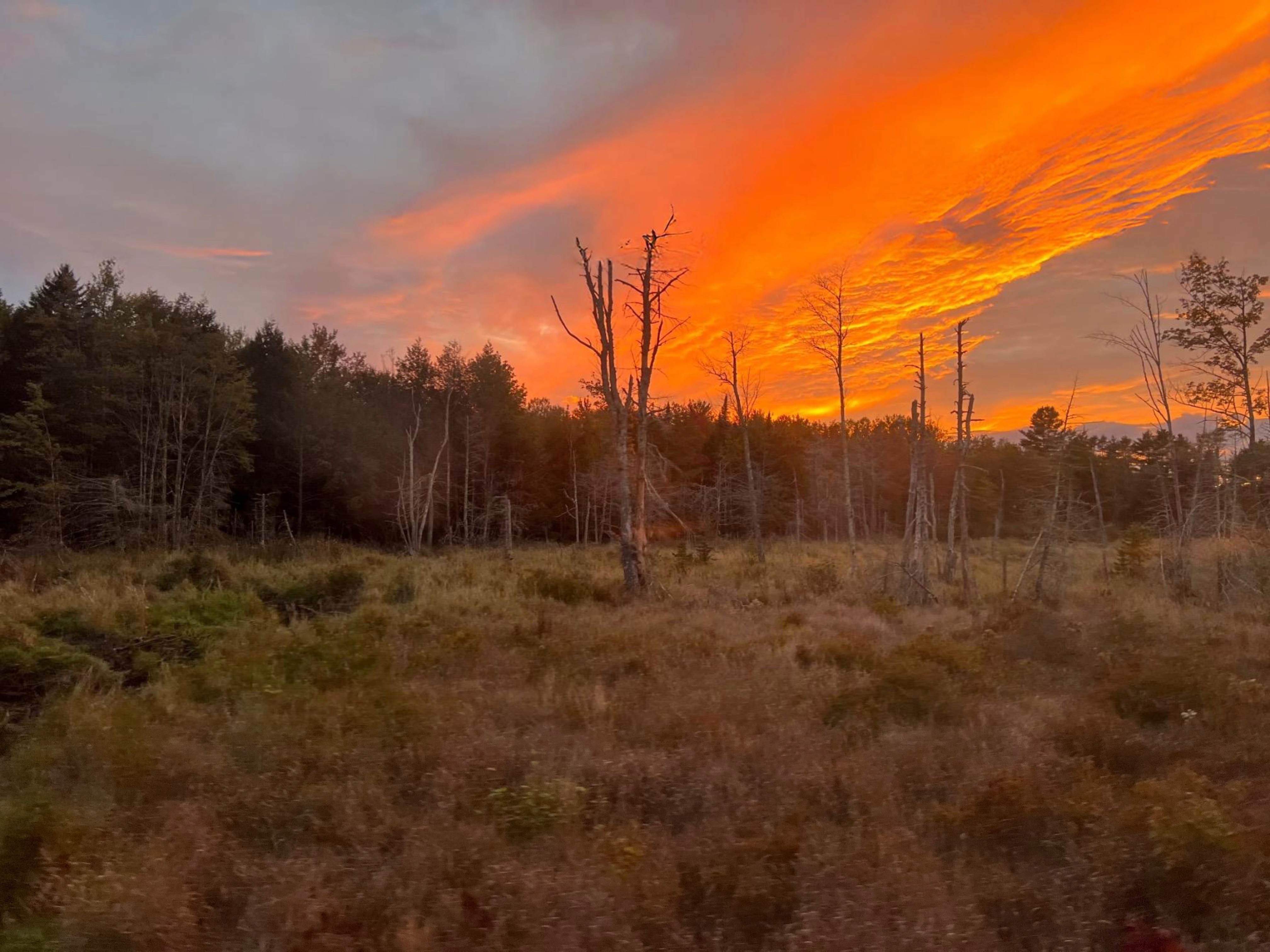 GuruShots - Vivid Landscapes March 2026