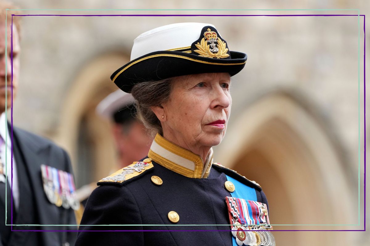 The Meaning Behind Princess Anne's Military Uniform She Wore At The ...