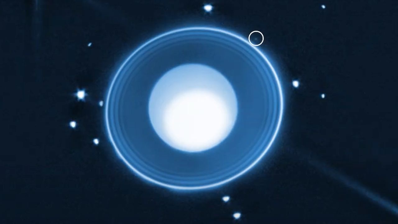 **自然な翻訳例:** * **ジェームズ・ウェッブ宇宙望遠鏡が天王星の周りで新たな小さな衛星を発見 (写真、動画あり)** * **科学者、ジェームズ・ウェッブ宇宙望遠鏡で天王星の新たな極小衛星を発見 (写真と動画)** * **ジェームズ・ウェッブ宇宙望遠鏡が捉えた！天王星の新たな小衛星を発見 (写真・動画)** **少し硬めの翻訳例:** * **科学者たちは、ジェームズ・ウェッブ宇宙望遠鏡を用いて天王星の周囲に新たな微小衛星を発見した (写真、動画)** **ニュアンス:** * 「tiny」は「小さい」よりも「極小」「微小」といったニュアンスの方が、衛星の規模感をより伝えられるかもしれません。 * タイトルなので、簡潔で目を引くように、多少意訳を加えるのも有効です。 * 括弧書きの「photos, video」は、記事に写真と動画が含まれていることを示しています。 どれを選ぶかは、記事のトーンや読者層によって変わります。