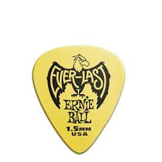 Ernie Ball Everlast