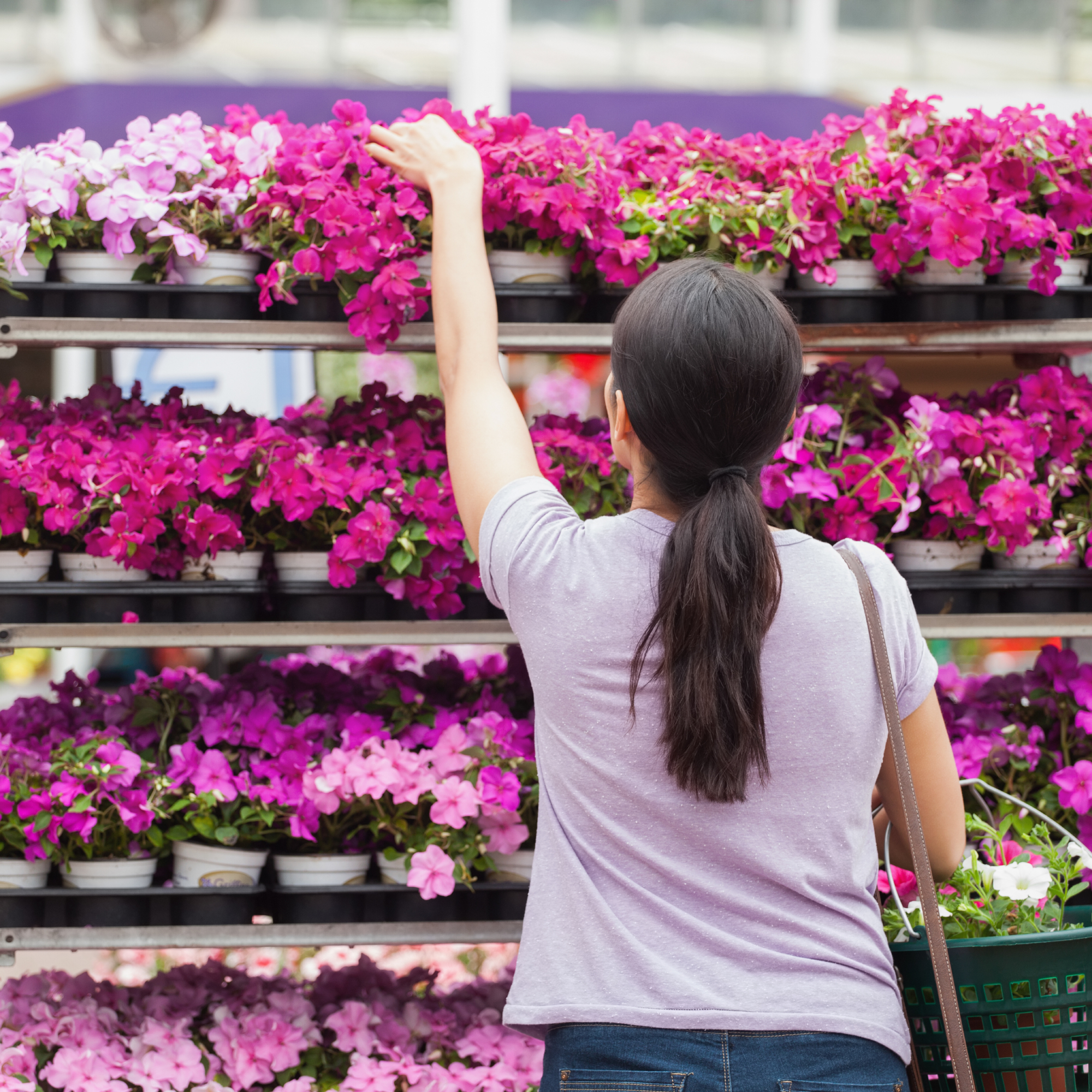 woman reaching for plants on a rack in nursery