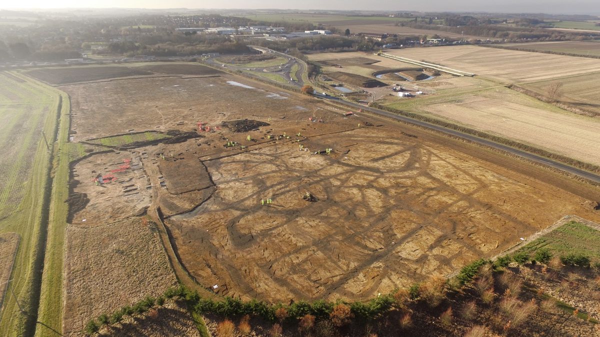 Amphibian 'death pit' filled with 8,000 bones unearthed in Iron Age village