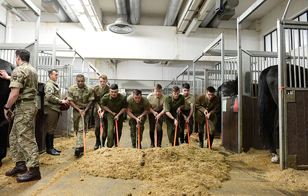 An early start: Troopers are on the yard in central London by 5.30am to begin mucking out the 211 horses