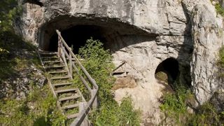 A photo of wooden stairs leading up to the entrance to a cave.