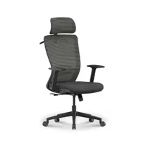 Flexispot OC3/BS3PC Gamer Score: 55%