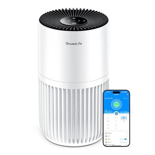Mini Air Purifier 