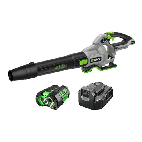 Ego Power+ Cordless Electric Leaf Blower