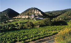 southern-rhone.jpg