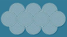 an illustration of the classic rotating snakes illusion, made up of many concentric circles with alternating stripes layered on top of each other