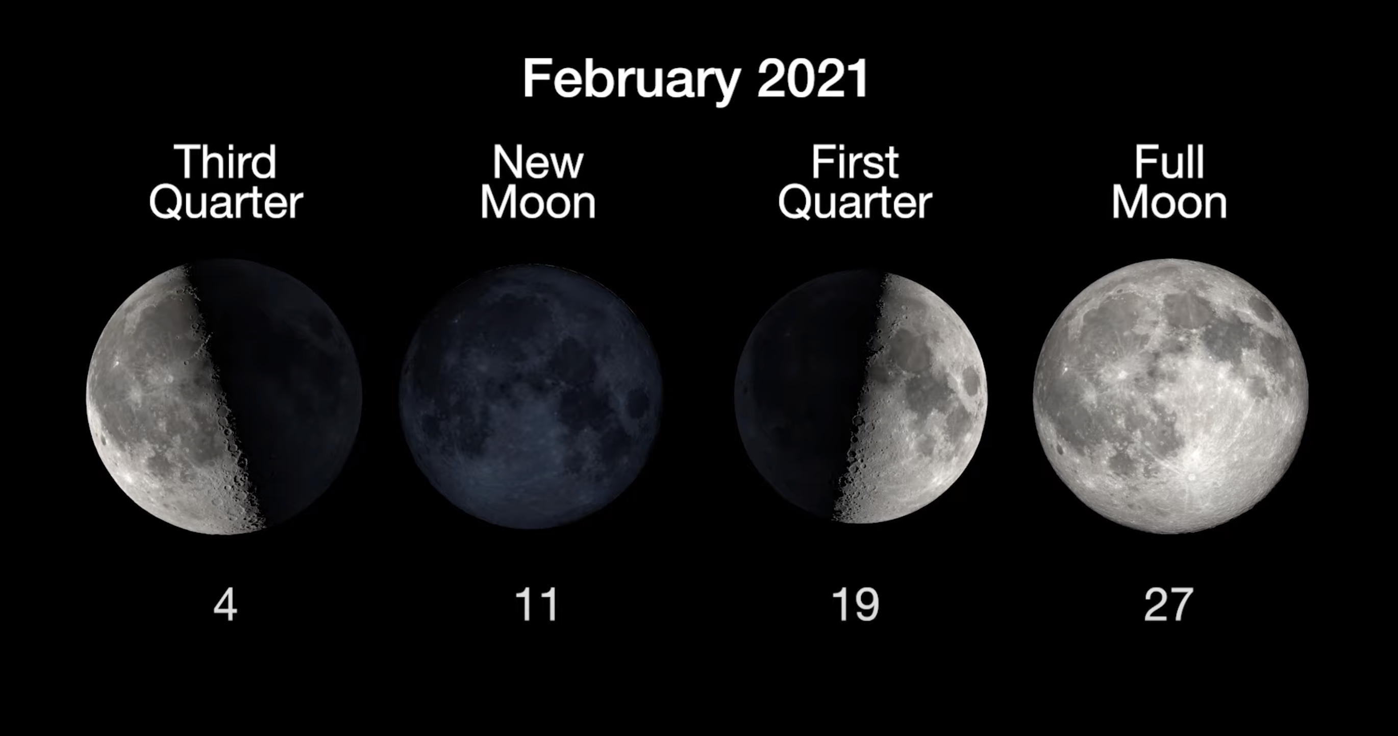 Full Moon Calendar 2021 When To See The Next Full Moon Space