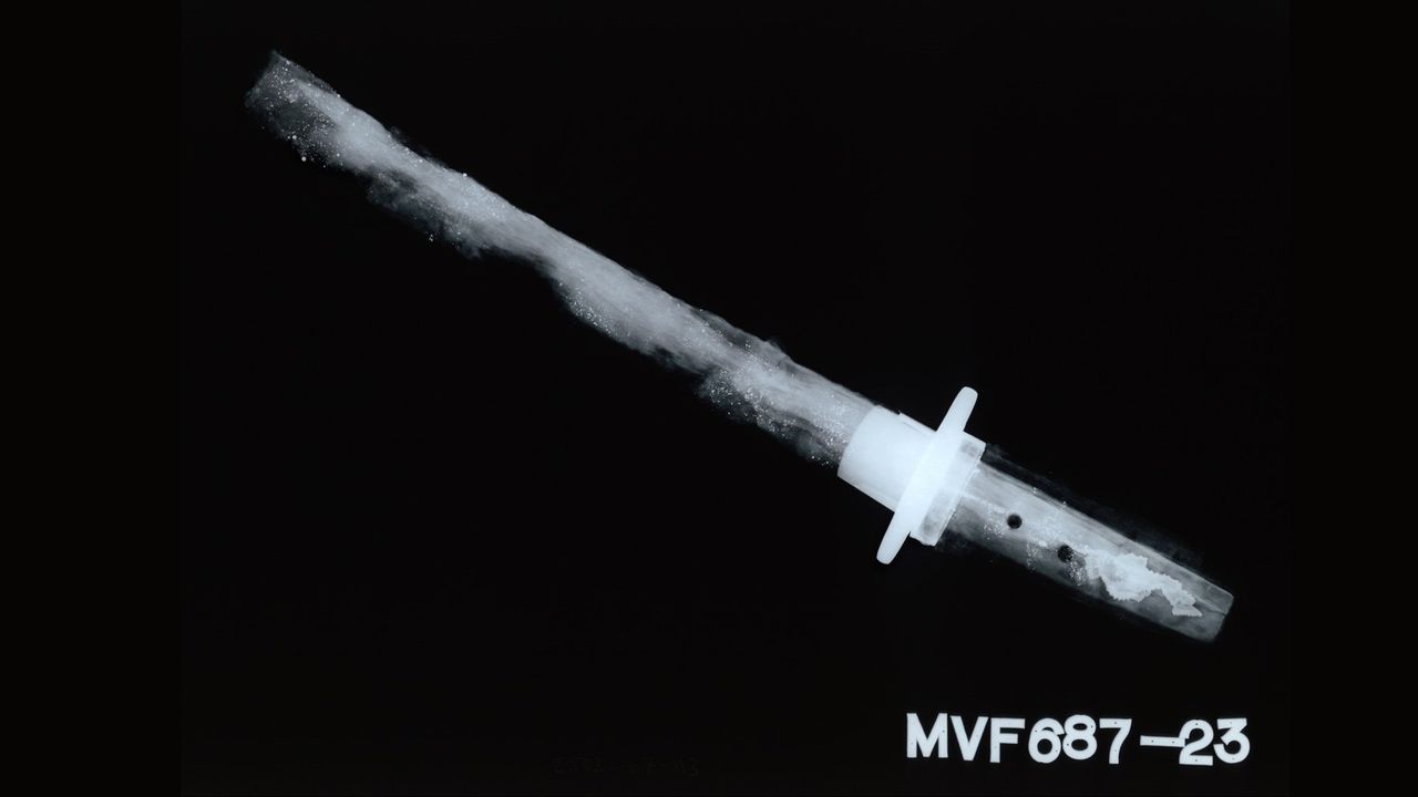 Image of the swords guard plate.