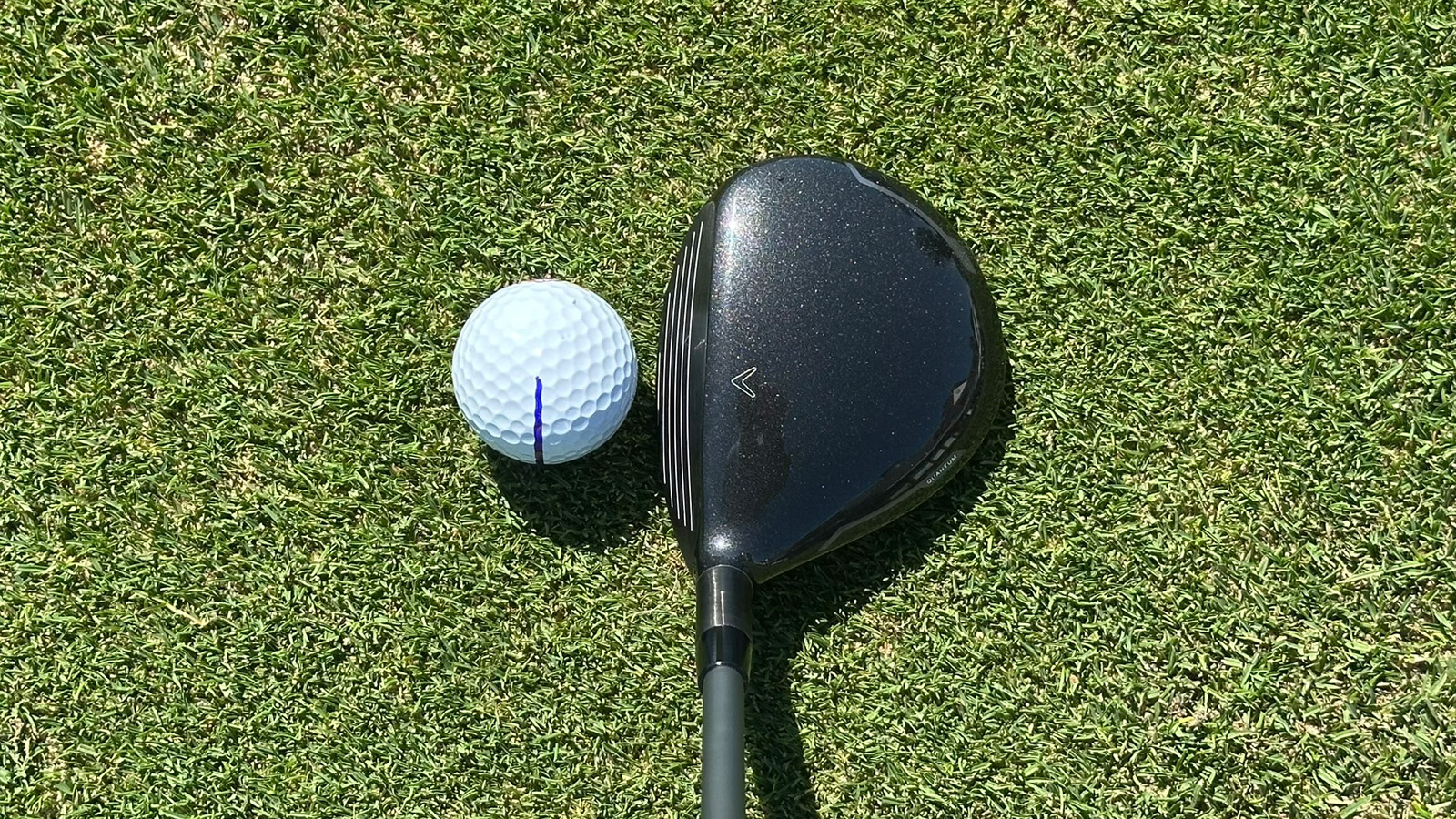 Callaway Quantum Mini Spinner