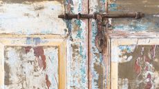 Carpenter ants can damage many things. Here is a rotten wooden door in close up with paint peeling and rusted sliding metal lock bar