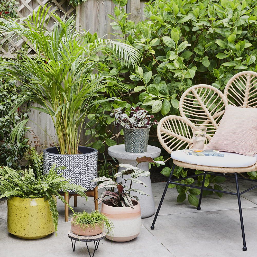 Where Can I Buy Plants For My Garden Near Me at Julia blog