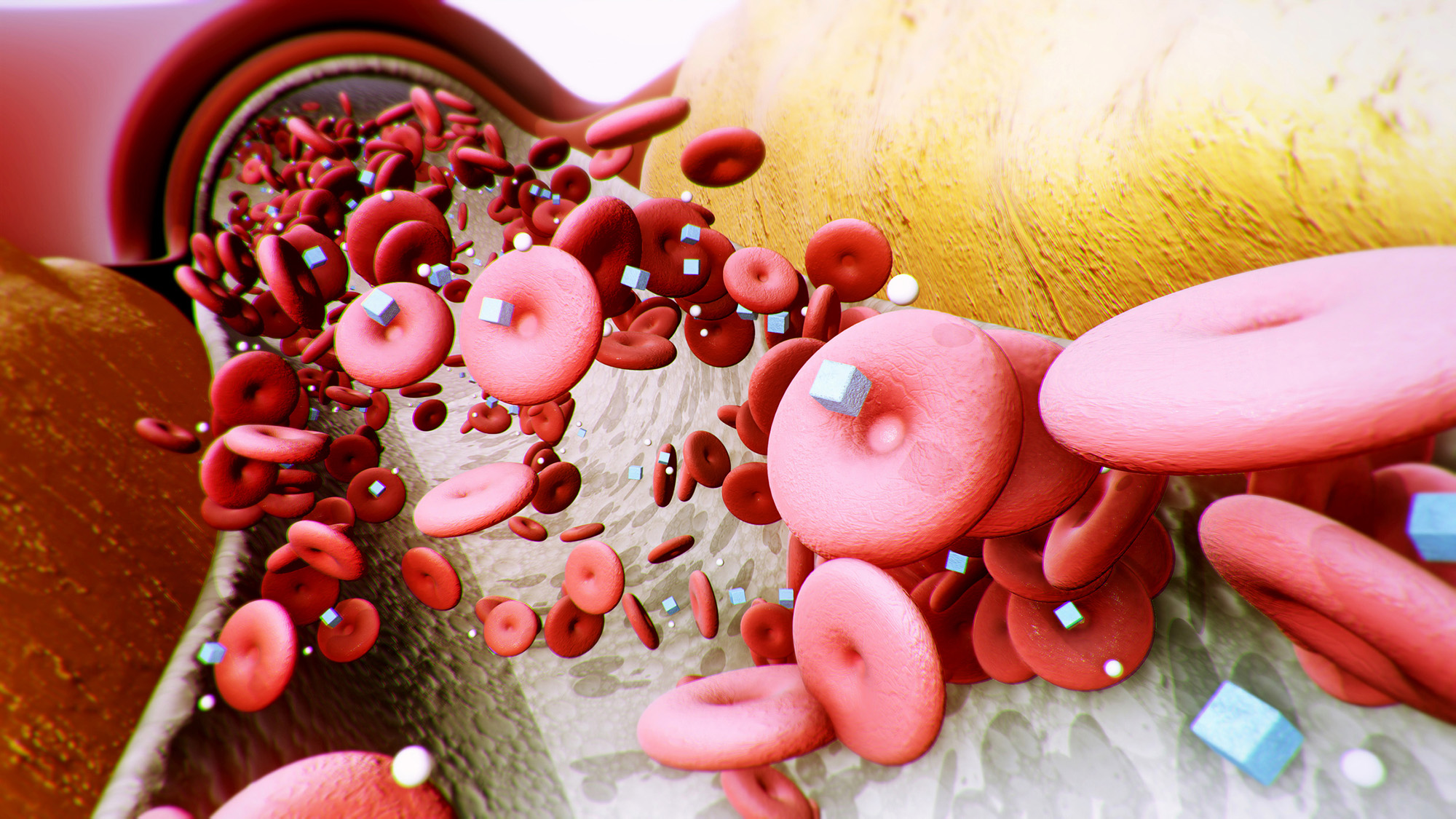 An illustration of a blood vessel showing its contents including red donut-shaped blood cells and white sugar cubes.