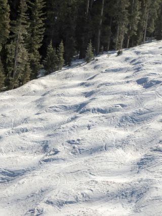 An empty ski run with moguls and trees in the distance