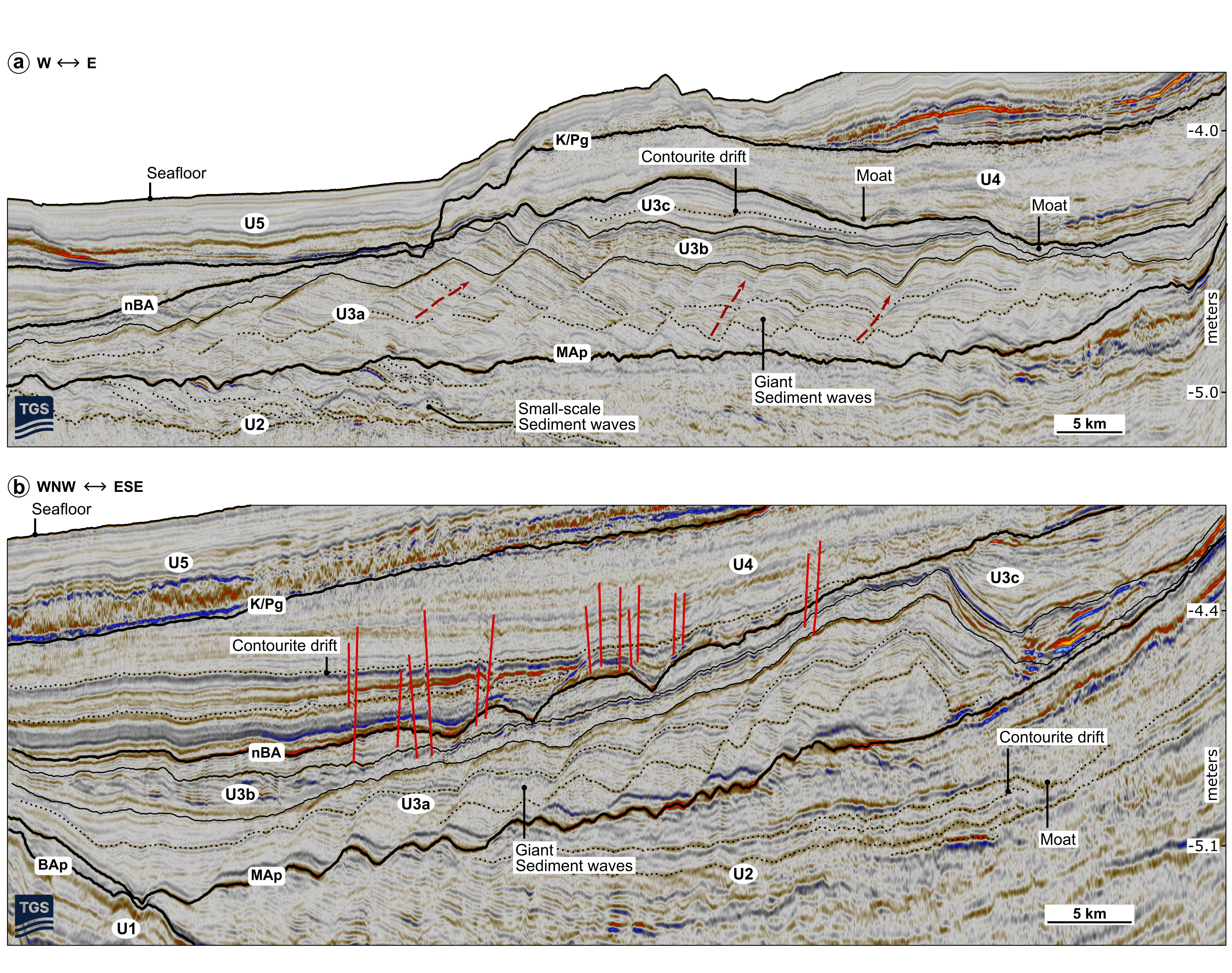 Diagram of the mud waves found in the sediment.