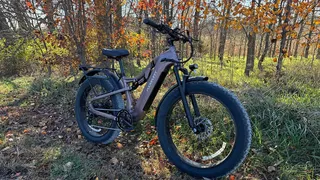 A PUCKIPUPPY bike in the woods