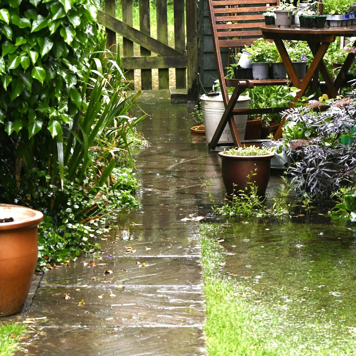 Comment améliorer le drainage dans un jardin 