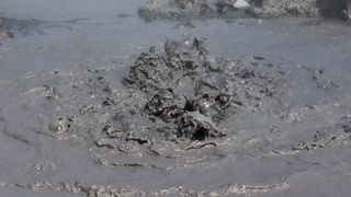 A photograph of a mud volcano bubbling in Kamchatka, Russia. 