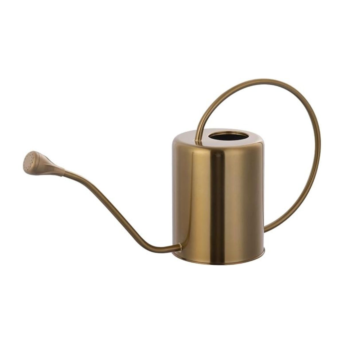 A mini bronze watering can