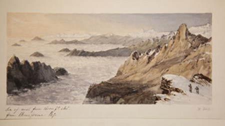This watercolor, also from the Kew archives, was based on the Hooker sketch. Walter Hood-Fitch (1817-1892), a Scottish botanical illustrator, made the painting around 1850, two years after Hooker sketched the original.