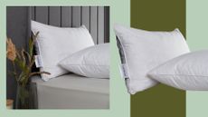 A composite image showing EarthKind Feather & Down Support Pillows on a bed, and on their own