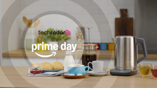 Ninja Perfect Temperature Kettle on a countertop surrounded by beverages