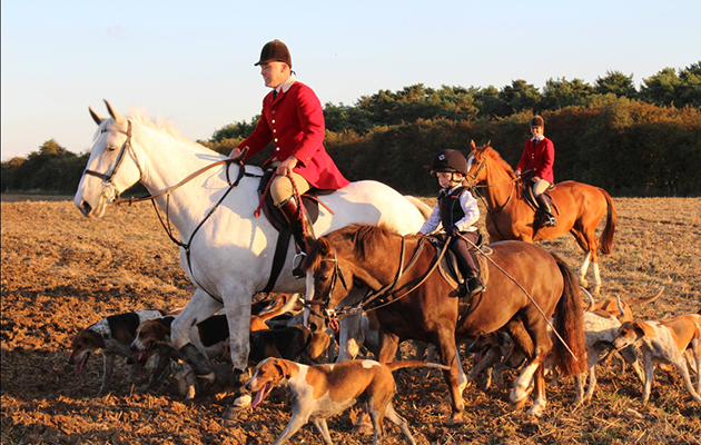Woodland Pytchley Hunt