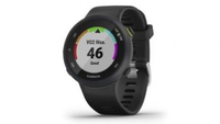 Garmin Forerunner 45 GPS Running Watch