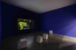 Sebastián Calfuqueo, Kowkülen (Liquid Being), 2020, installation view at Reclaim the Earth exhibition, Palais de Tokyo