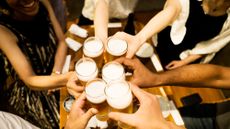 A group of people "cheers" each other with glasses of beer.