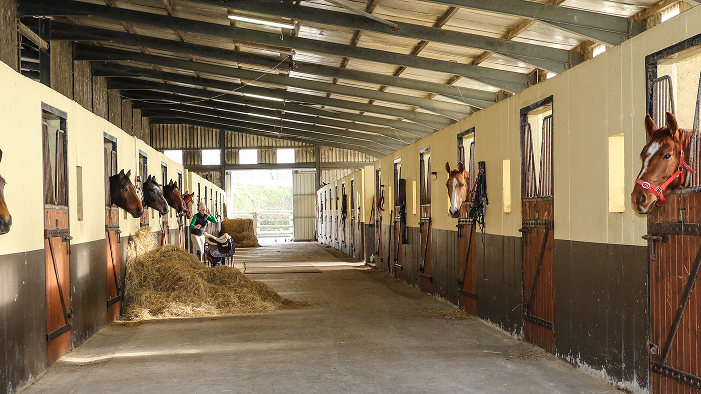 Coolballyshan Stud 05 02 2020