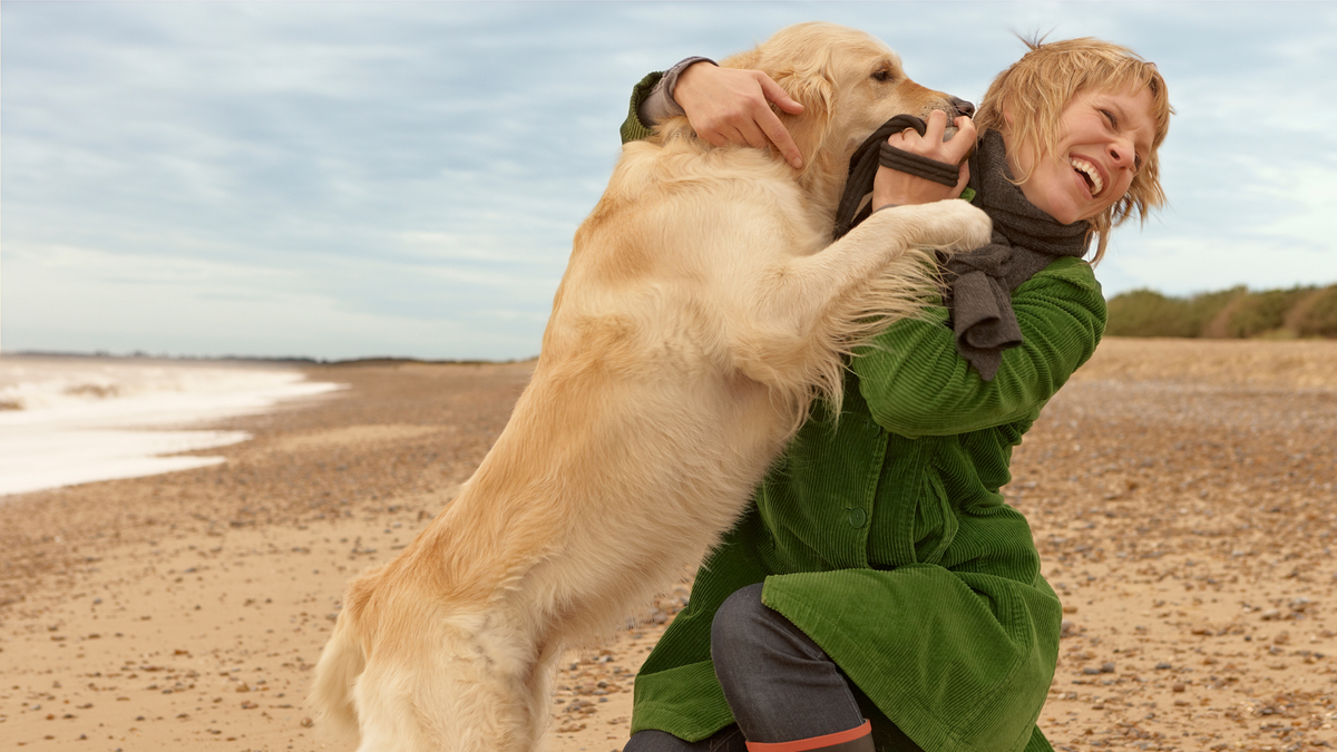 Dog jumping up at woman on the beach