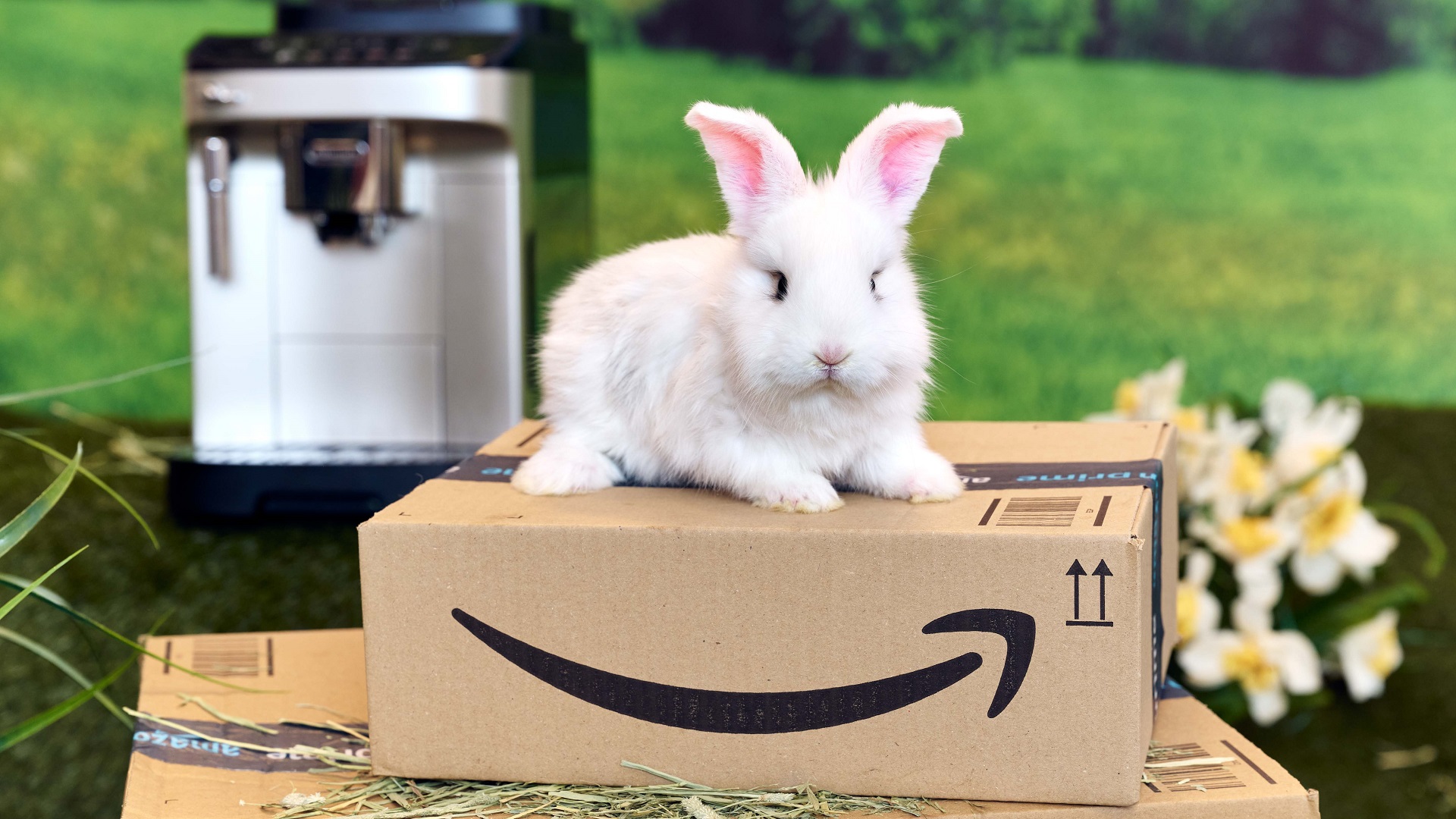 amazon lente deals