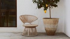 Image of an outdoor patio with a wicker chair and a lemon tree in a large pot.