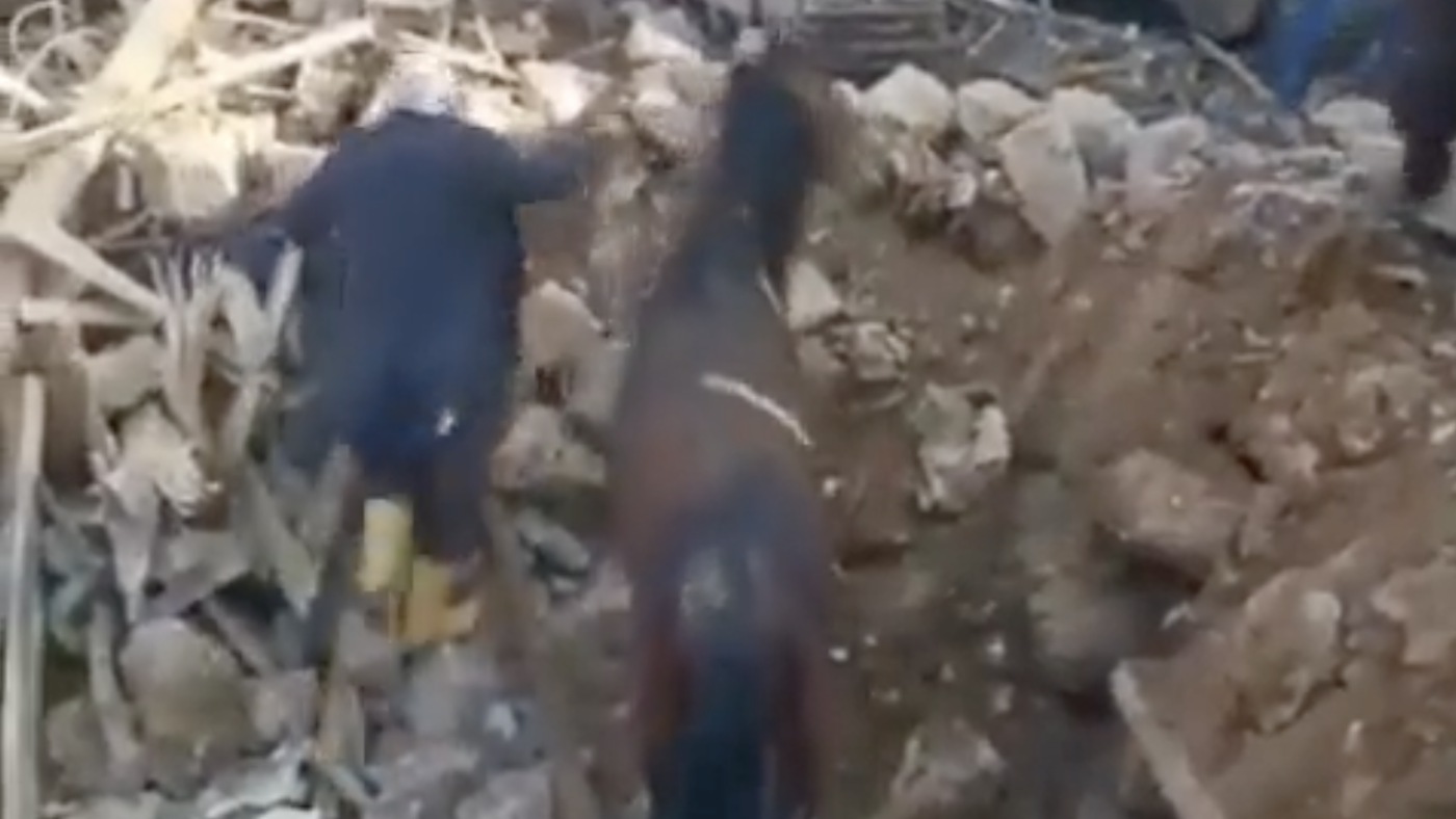 Turkey.png