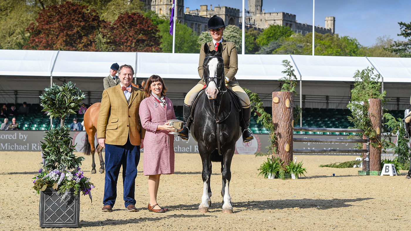 royal windsor working show horse
