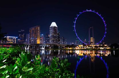 Singapore skyline at night with ferris wheel
