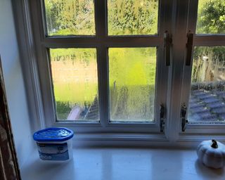 moisture absorber on a windowsill where the windows have condensation