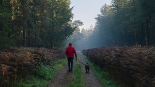 Man walking dog in forest