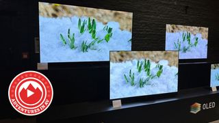 If LG, Sony and Panasonic had a Frankenstein baby it'd be the perfect OLED TV